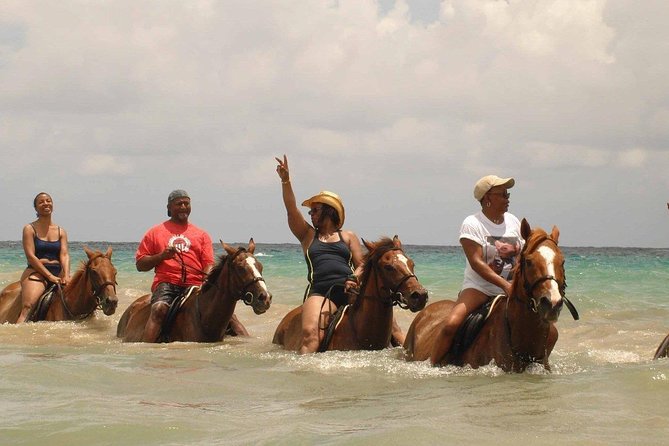Private Beach Horseback Riding from Ocho Rios - The Hooves Stop: Safety, Setup, and a Real First Feel of the Saddle