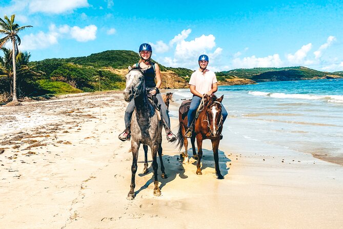 Private Beach Picnic Horseback Ride with Sandy Hoofs St. Lucia - Key highlights that matter before you go
