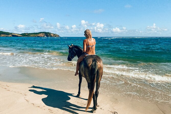 Private Beach Picnic Horseback Ride with Sandy Hoofs St. Lucia - Getting to Sandy Hoofs St. Lucia: your starting point and first checks