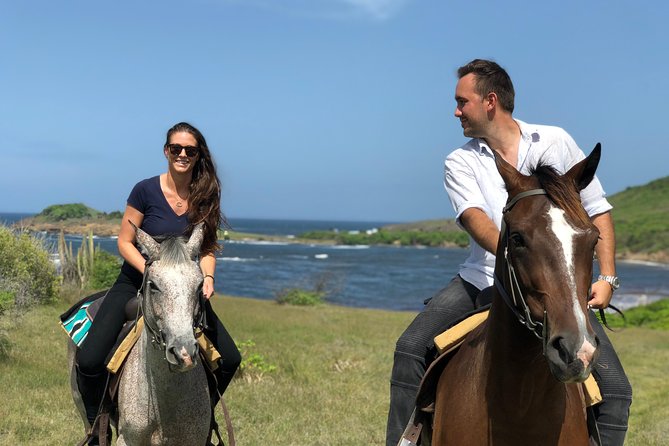 Private Beach Picnic Horseback Ride with Sandy Hoofs St. Lucia - Anse La Voute beach: picnic lunch and the swim-with-your-horse moment