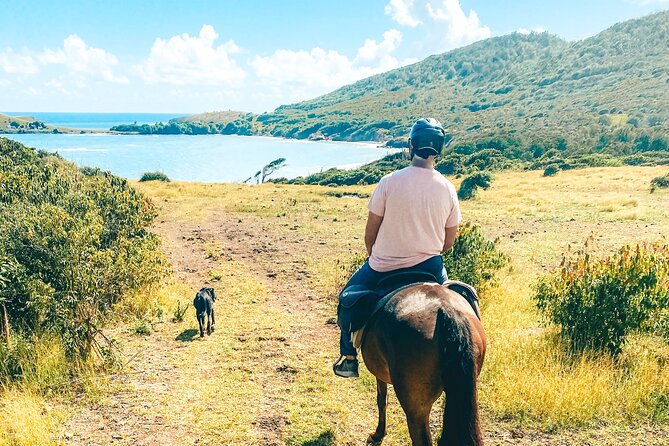 Private Beach Picnic Horseback Ride with Sandy Hoofs St. Lucia - Horse-first care, staff support, and why the stables feel personal