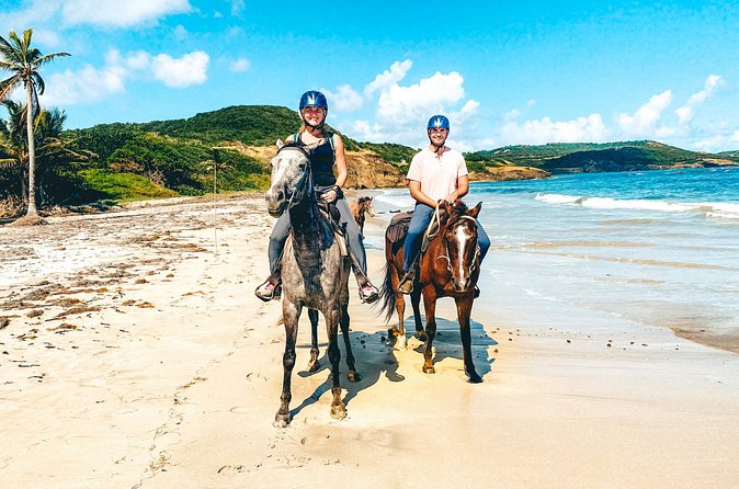 Private Beach Picnic Horseback Ride with Sandy Hoofs St. Lucia - Price and value: what $129 per person really buys you