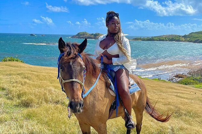 Private Beach Picnic Horseback Ride with Sandy Hoofs St. Lucia - Who should book this private horseback picnic ride