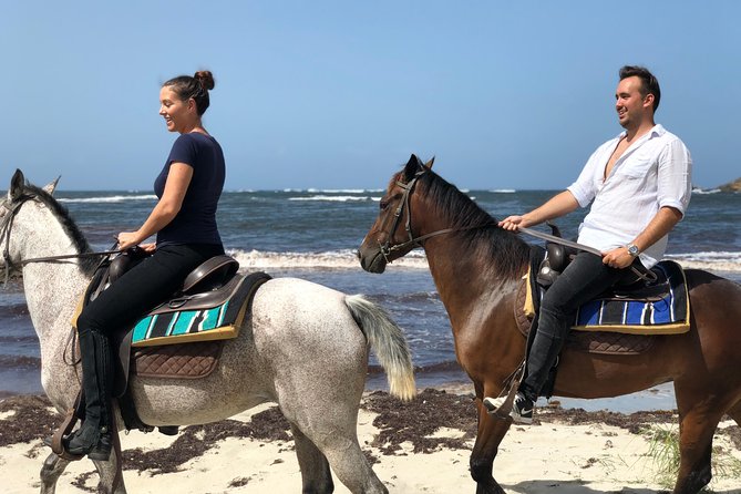 Private Beach Picnic Horseback Ride with Sandy Hoofs St. Lucia - The 2.5-hour coastal route: views of Atlantic, Epouge Bay, and the real St Lucia