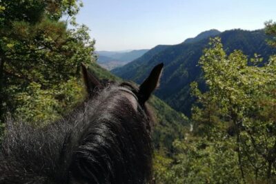 Private Cascades Waterfall Horseback Riding Tour from Smolyan - Rhodope Mountains Stops: Short Scenic Breaks With Big Payoff