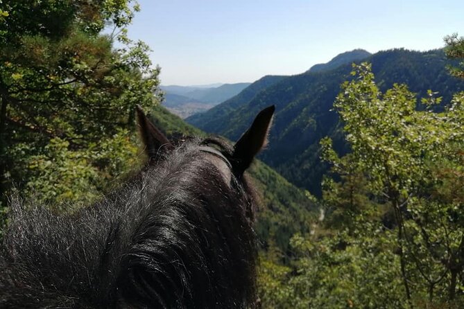 Private Cascades Waterfall Horseback Riding Tour from Smolyan - Rhodope Mountains Stops: Short Scenic Breaks With Big Payoff