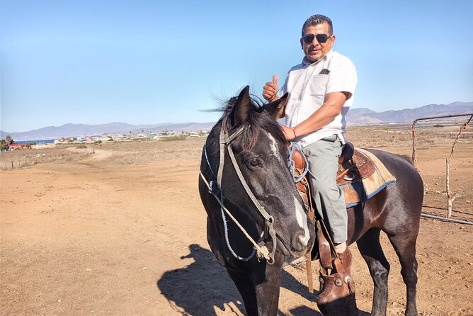 Private excursion to the bufadora and horseback riding on the beach - How guides make the difference: named examples that show the pattern