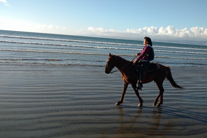 Private excursion to the bufadora and horseback riding on the beach - Food and local stops: when you want more than just sights