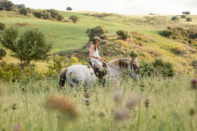 Private Horse Riding Adventure in Tbilisi - Why This Private Horse Riding in Tbilisi Feels Different