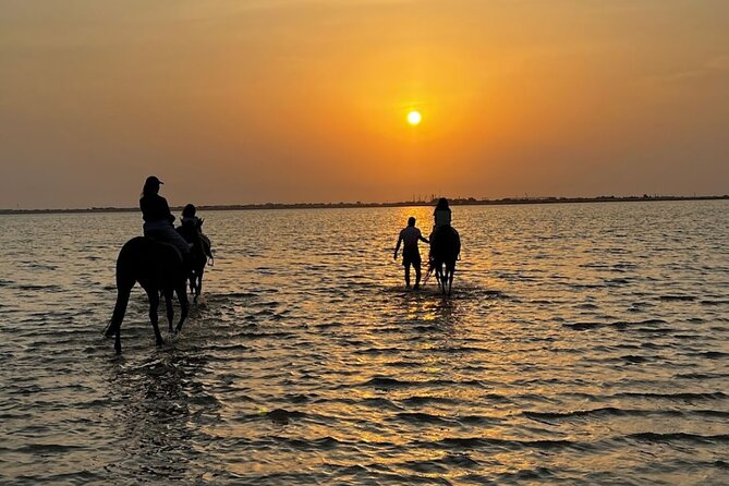 Private Horse Riding Experience at Red Sea - Key highlights to know before you go