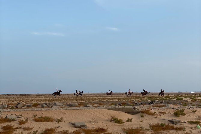Private Horse Riding Experience at Red Sea - Getting to Hooves Stud and starting with the right setup