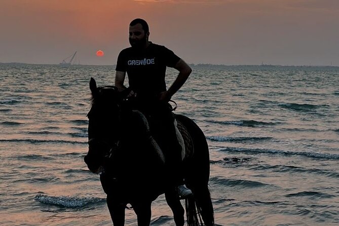 Private Horse Riding Experience at Red Sea - Dahban Beach at sunset: why this timing is the main event