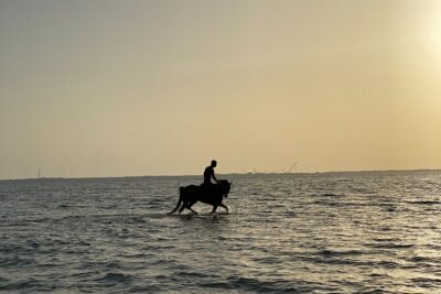 Private Horse Riding Experience at Red Sea - The ride from the stable toward the Red Sea edge