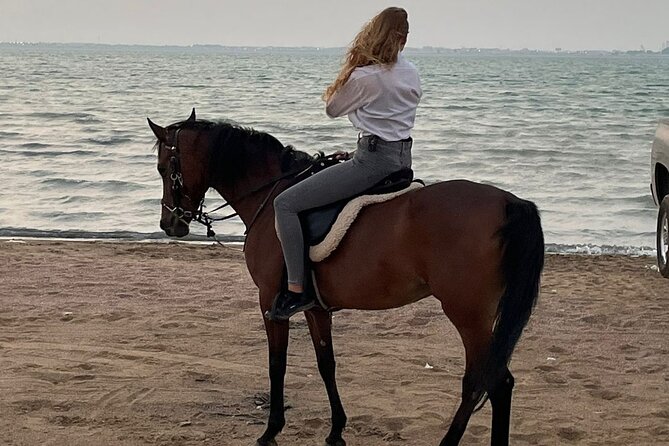 Private Horse Riding Experience at Red Sea - Timing, comfort, and what makes the 5–7 PM window practical