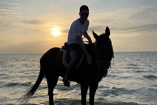Private Horse Riding Experience at Red Sea - Price at $90: what you are really paying for