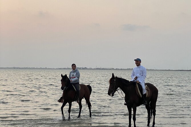 Private Horse Riding Experience at Red Sea - Who should book this Red Sea horse ride in Jeddah