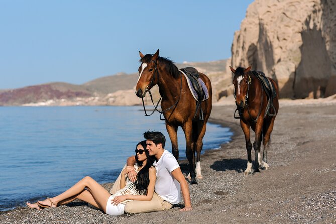 Private Horse Riding Experience in Santorini - The Horses: Well Cared For, Usually Calm, Still Animals
