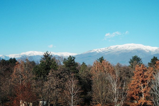 Private Horse Riding in the Balkan from Sofia - Vitosha Mountain riding: a bigger-feeling day in the saddle