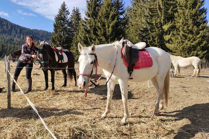Private Horse Riding in the Balkan from Sofia - Price and value: what $239.12 buys you