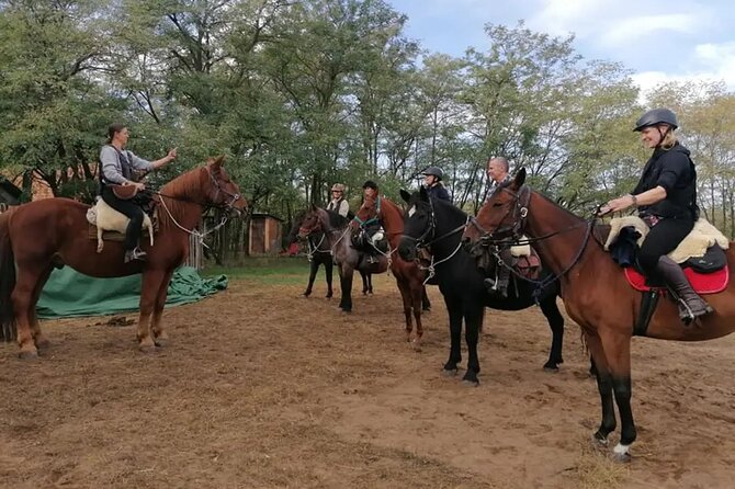 Private Horse Riding near Budapest with transport - Price ($189) and whether it’s good value for your time