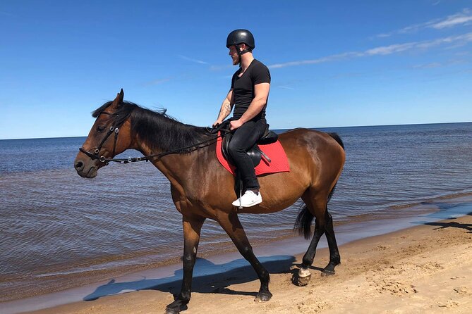 Private Horse Riding on the Beach in Riga - Can Beginners Actually Enjoy This? Yes, and Here’s Why
