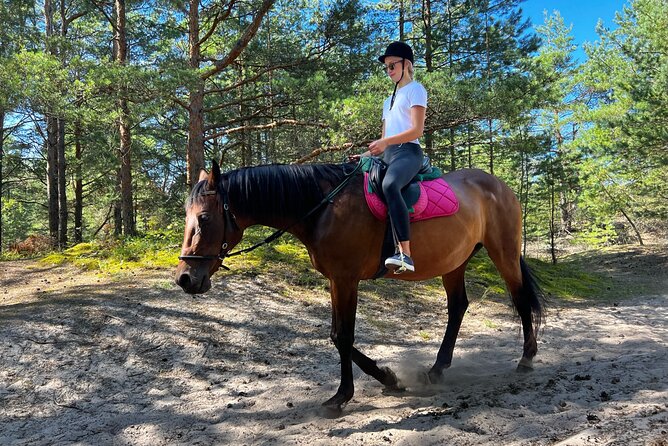Private Horse Riding on the Beach in Riga - Price and Value: Is $150.63 Reasonable?