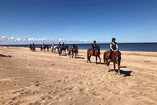 Private Horse Riding on the Beach in Riga - Hotel Pickup and Air-Conditioned Transport: The Convenience Math