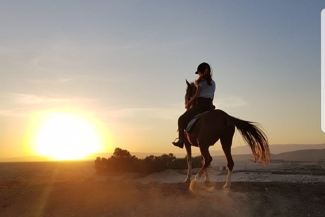Private Horse Riding Tour in Luxor West Bank - Safety Gear, Horse Comfort, and Beginner-Friendly Reality
