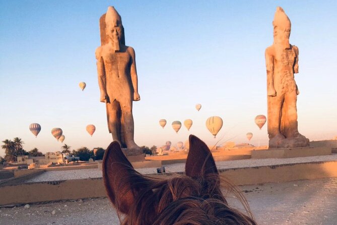 Private Horse Riding Tour in Luxor West Bank - Price and Value: How $12 Fits Into Luxor’s Real Costs