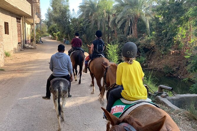 Private Horse Riding Tour in Luxor West Bank - When to Go and Where to Meet So You Don’t Lose Time