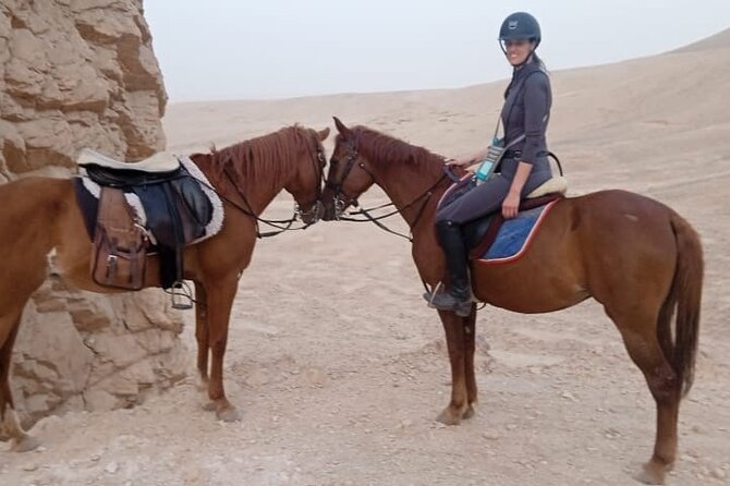 Private Horse Riding Tour in Luxor West Bank - What You’ll Want to Ask Your Guide Before You Ride