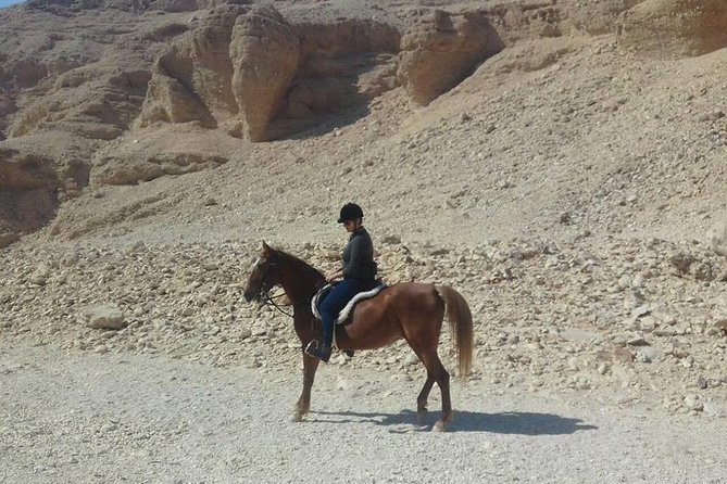 Private Horse Riding Tour in Luxor West Bank - Should You Book This Private Horse Riding Tour on Luxor’s West Bank?