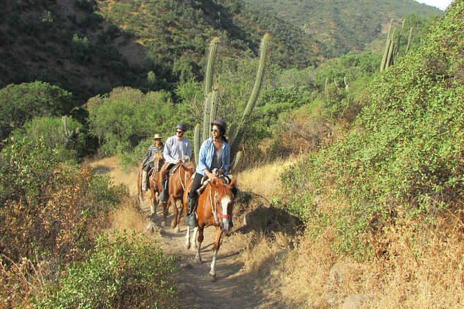 Private Horseback Adventure in the Andes, with Picnic & Wine - Key highlights you’ll feel right away