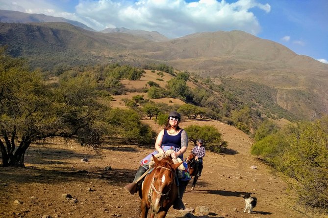 Private Horseback Adventure in the Andes, with Picnic & Wine - The Andes trail itself: paths, streams, wildlife, and photo stops