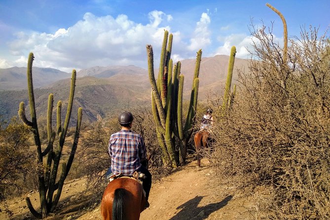 Private Horseback Adventure in the Andes, with Picnic & Wine - The arriero ranch stop: coffee, picnic lunch, and wine