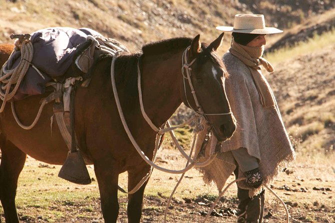 Private Horseback Adventure in the Andes, with Picnic & Wine - Price and value: what $278.90 buys you