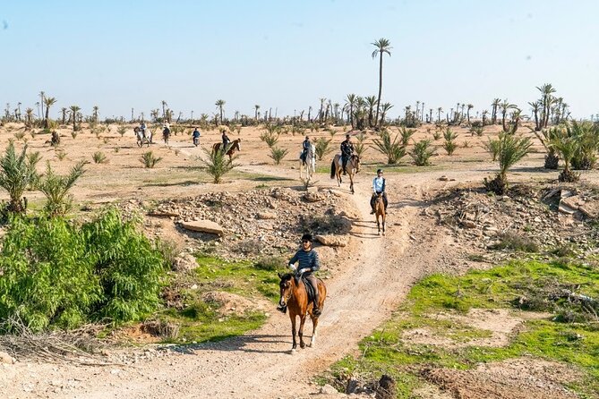 Private horseback ride in the Palmeraie of Marrakech - Key highlights you’ll care about