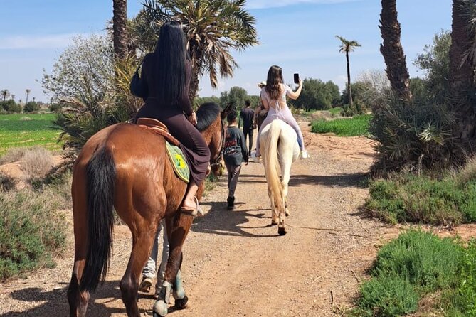 Private horseback ride in the Palmeraie of Marrakech - Your 3-hour plan (why it’s longer than just 1 hour on the horse)
