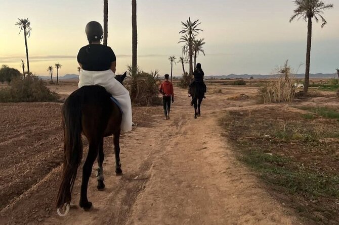 Private horseback ride in the Palmeraie of Marrakech - One hour in the Palmeraie: pace control, photos, and rural texture