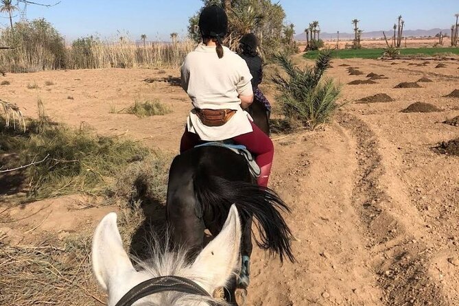Private horseback ride in the Palmeraie of Marrakech - Logistics that make your day easier (and a couple things to watch)