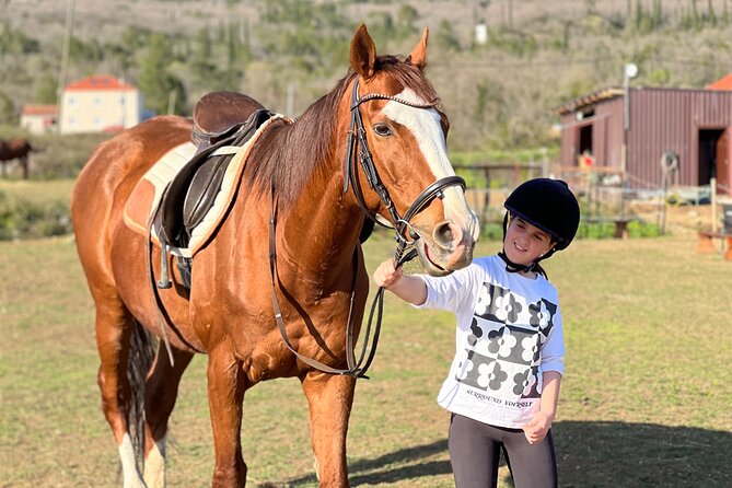 Private Horseback Riding and Family Time in Konavle Region - Key things I’d circle before you book