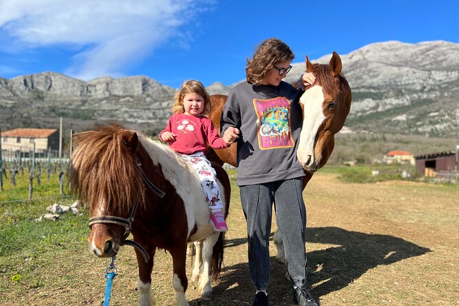 Private Horseback Riding and Family Time in Konavle Region - Price and value: $151.26 per group (up to 8) and what you’re actually paying for