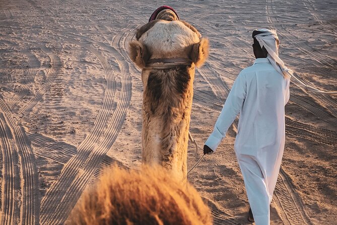 Private Horseback Riding Experience in Doha - Getting set up with your horse (and the safety mindset)