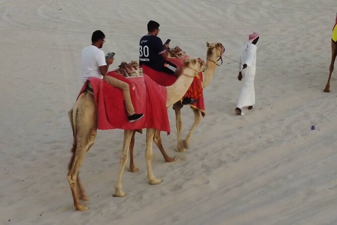 Private Horseback Riding Experience in Doha - Who should book this (and who should skip it)
