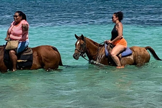Private Horseback Riding from Ocho Rios with Guide - Key Points to Know Before You Go