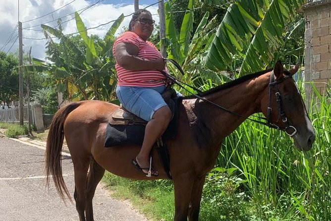 Private Horseback Riding from Ocho Rios with Guide - Private Horseback Riding from Ocho Rios: How the Whole Experience Flows