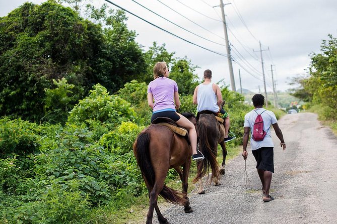 Private Horseback Riding from Ocho Rios with Guide - Getting Picked Up in Ocho Rios: Cruise Port or Hotel, Either Works