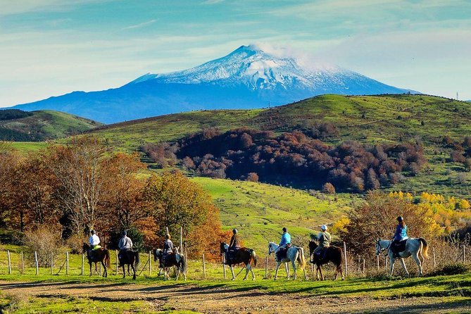 Private Horseback Riding Tour on Etna Area + Traditional Lunch - Price and value: $349.63 per person, and what you actually get