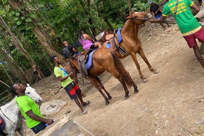 Private Horseback Riding with Blue Hole River Tour in Montego Bay - Price and What You Get for $80