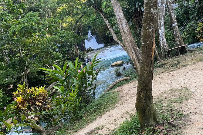 Private Horseback Riding with Blue Hole River Tour in Montego Bay - Drinks, Birthday Champagne, and Responsible Fun